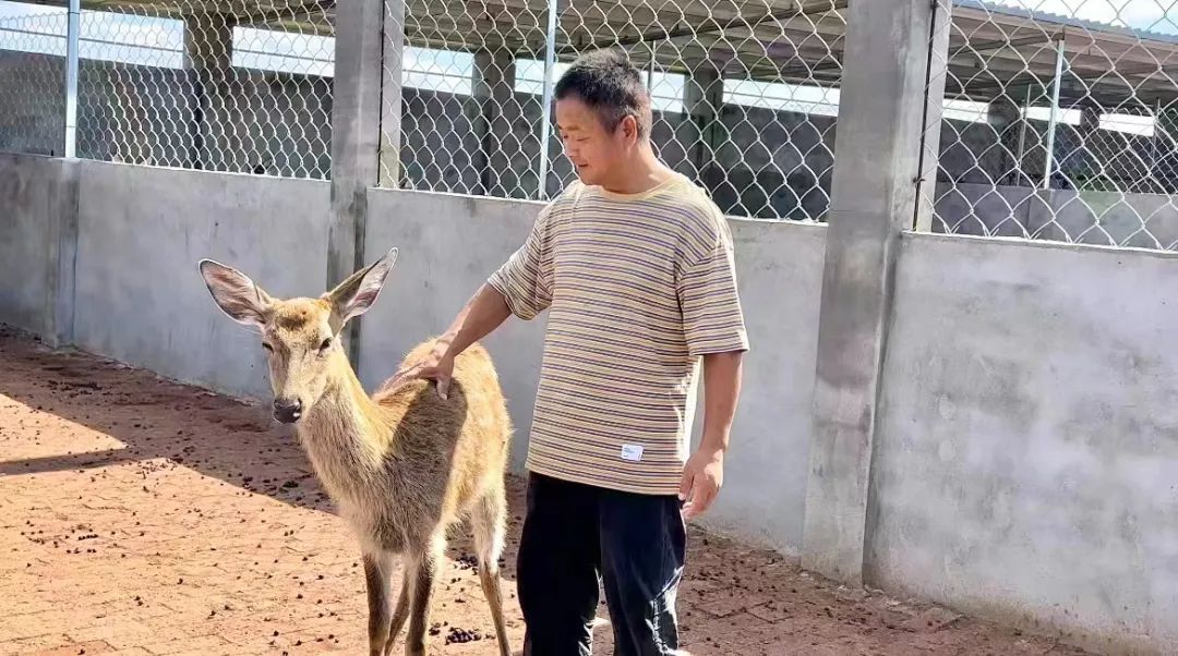 太阳成集团网站